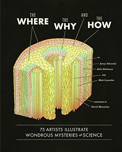 Matt Lamothe, Julia Rothman, Jenny Volvovski, David Macaulay: The Where, the Why, and the How
