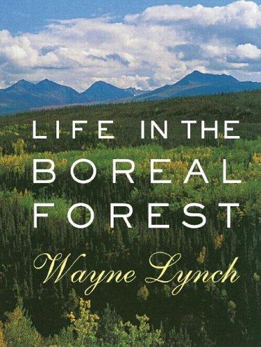 Wayne Lynch: Life in the Boreal Forest (Paperback, 2006, Fitzhenry and Whiteside)