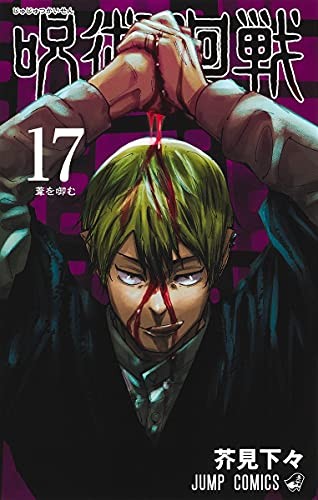 Ryomen Sukune: 呪術廻戦 17 (GraphicNovel, 2021, RTULOR)
