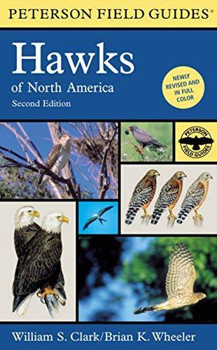Clark, William S., William S. Clark: A field guide to hawks of North America (2001, Houghton Mifflin, Houghton Mifflin Harcourt)