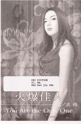 Kim Echlin: The disappeared (2009, Hamish Hamilton Canada)