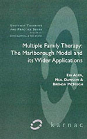 Eia Asen: Multiple Family Therapy (Paperback, Karnac Books)