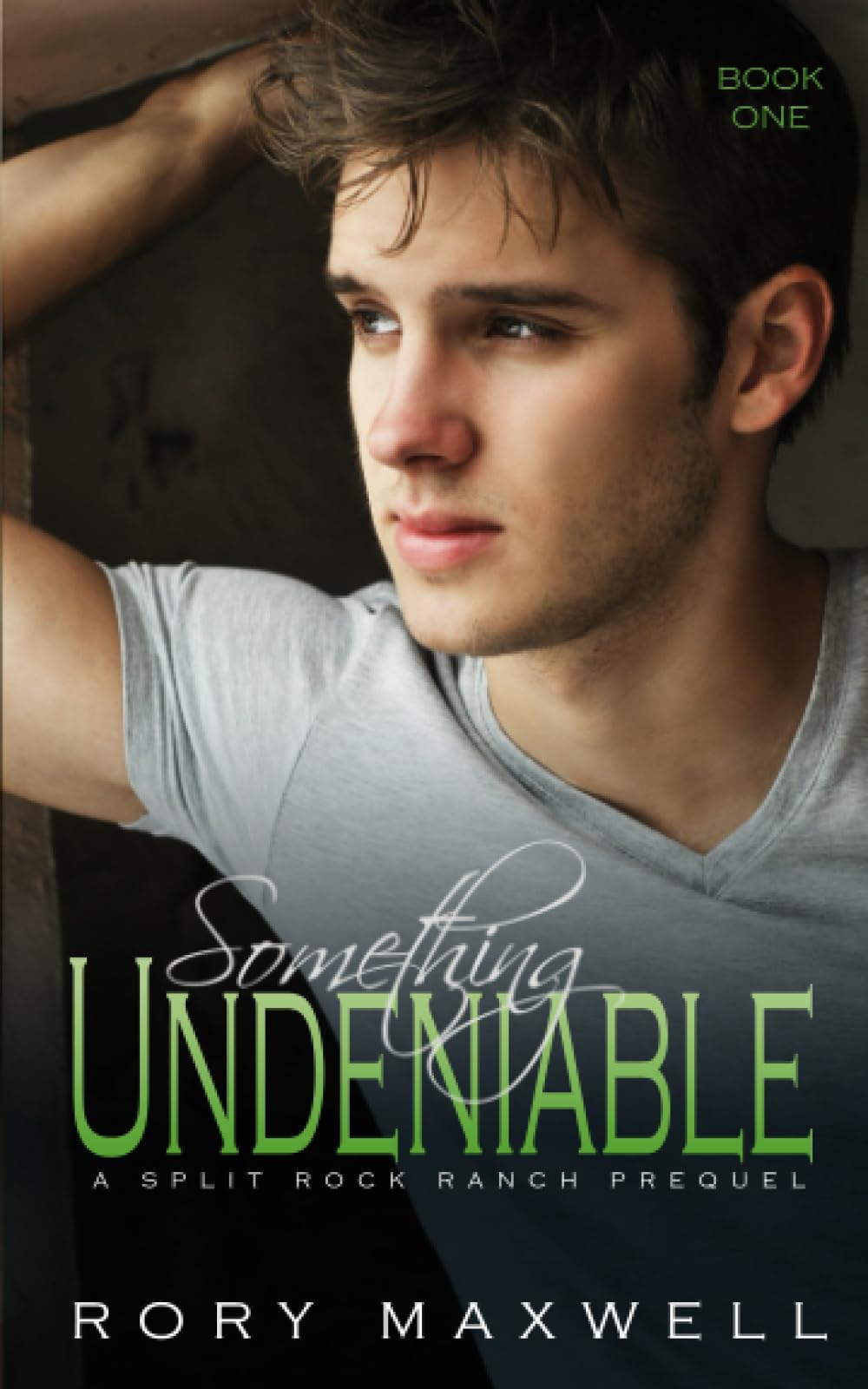 Rory Maxwell: Something Undeniable (Paperback, 2022, ‎ Independently published)