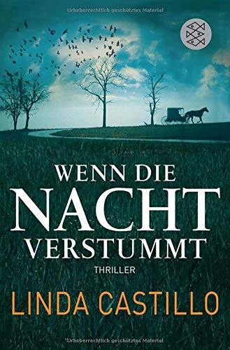 Linda Castillo: Wenn die Nacht verstummt (Paperback, 2012, FISCHER Taschenbuch)