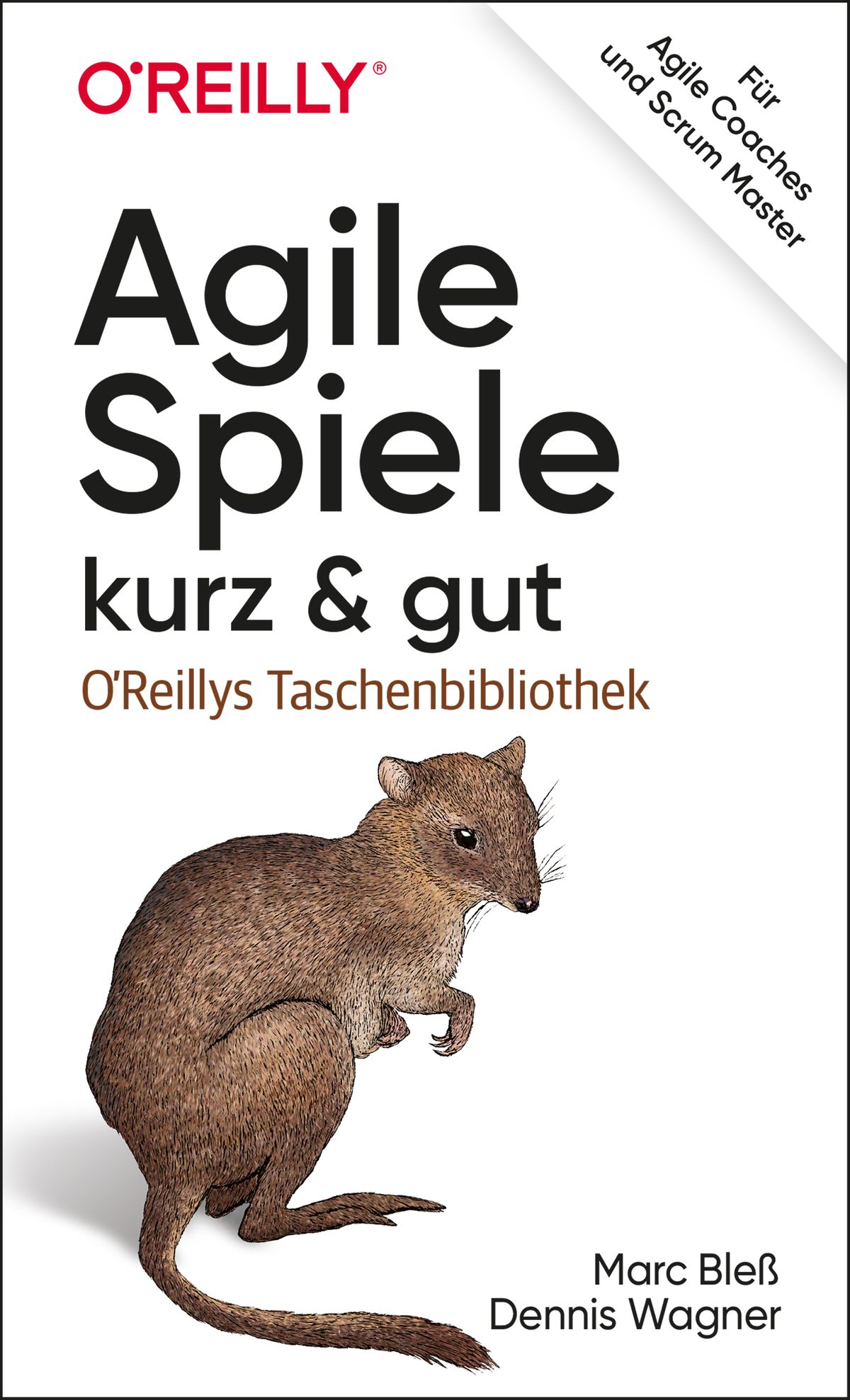 Marc Bleß, Dennis Wagner: Agile Spiele - kurz & gut (Paperback, Dpunkt.Verlag GmbH)