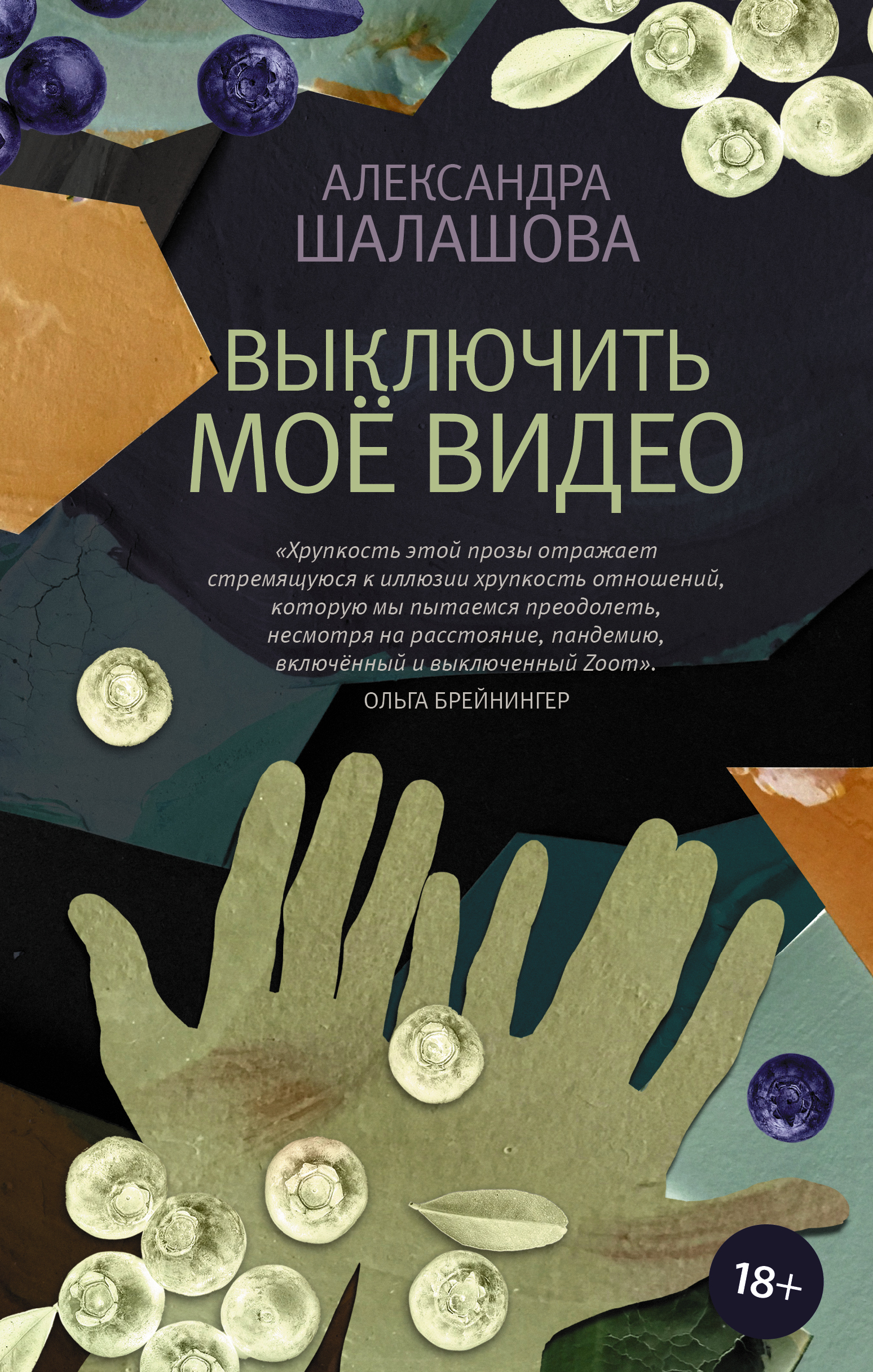 Александра Шалашова: Выключить моё видео (EBook, Русский language, 2021, АСТ)