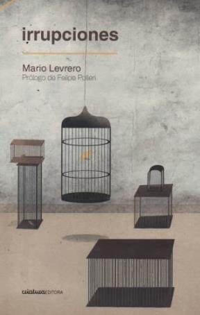 LEVRERO MARIO: Irrupciones (Paperback, 2014, Waldhuter)