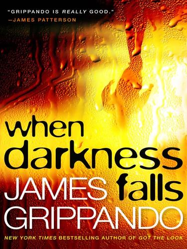 James Grippando: When Darkness Falls (EBook, 2007, HarperCollins)