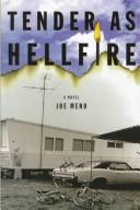 Joe Meno: Tender as hellfire (1999, St. Martin's Press)