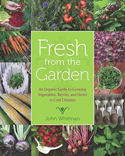 John Whitman: Fresh from the Garden (Hardcover, Univ Of Minnesota Press)