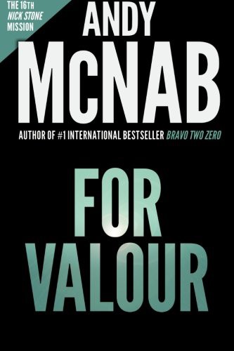 Andy McNab: For Valour (Paperback, Apostrophe Books Ltd)