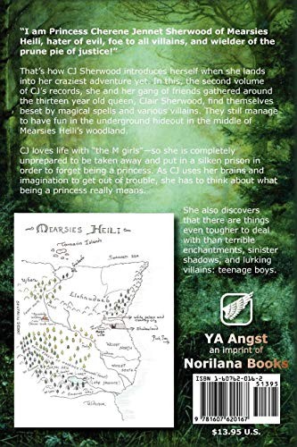 Sherwood Smith: Mearsies Heili Bounces Back (Paperback, Brand: YA Angst, YA Angst)