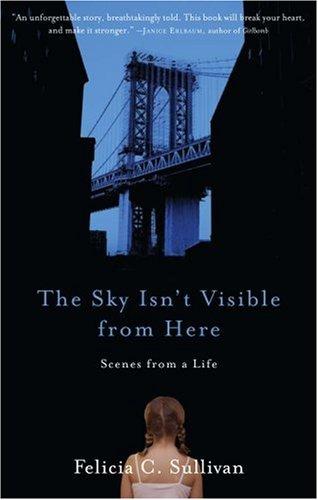 Felicia C. Sullivan, Felicia Sullivan: The Sky Isn't Visible from Here (Hardcover, Algonquin Books, Algonquin Books of Chapel Hill)
