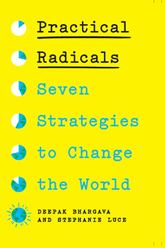 Deepak Bhargava, Stephanie Luce: Practical Radicals (2023, New Press, The)