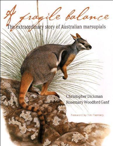 Christopher R. Dickman: A fragile balance : the extraordinary story of australian marsupials (University of Chicago Press)