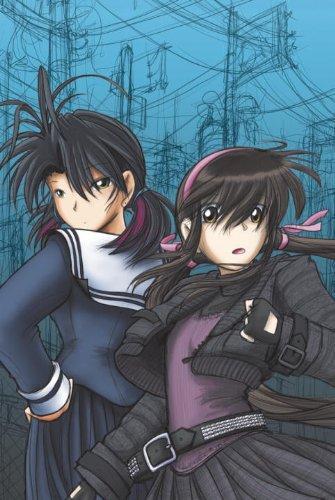 Fred Gallagher: Megatokyo Vol 06 (2010)