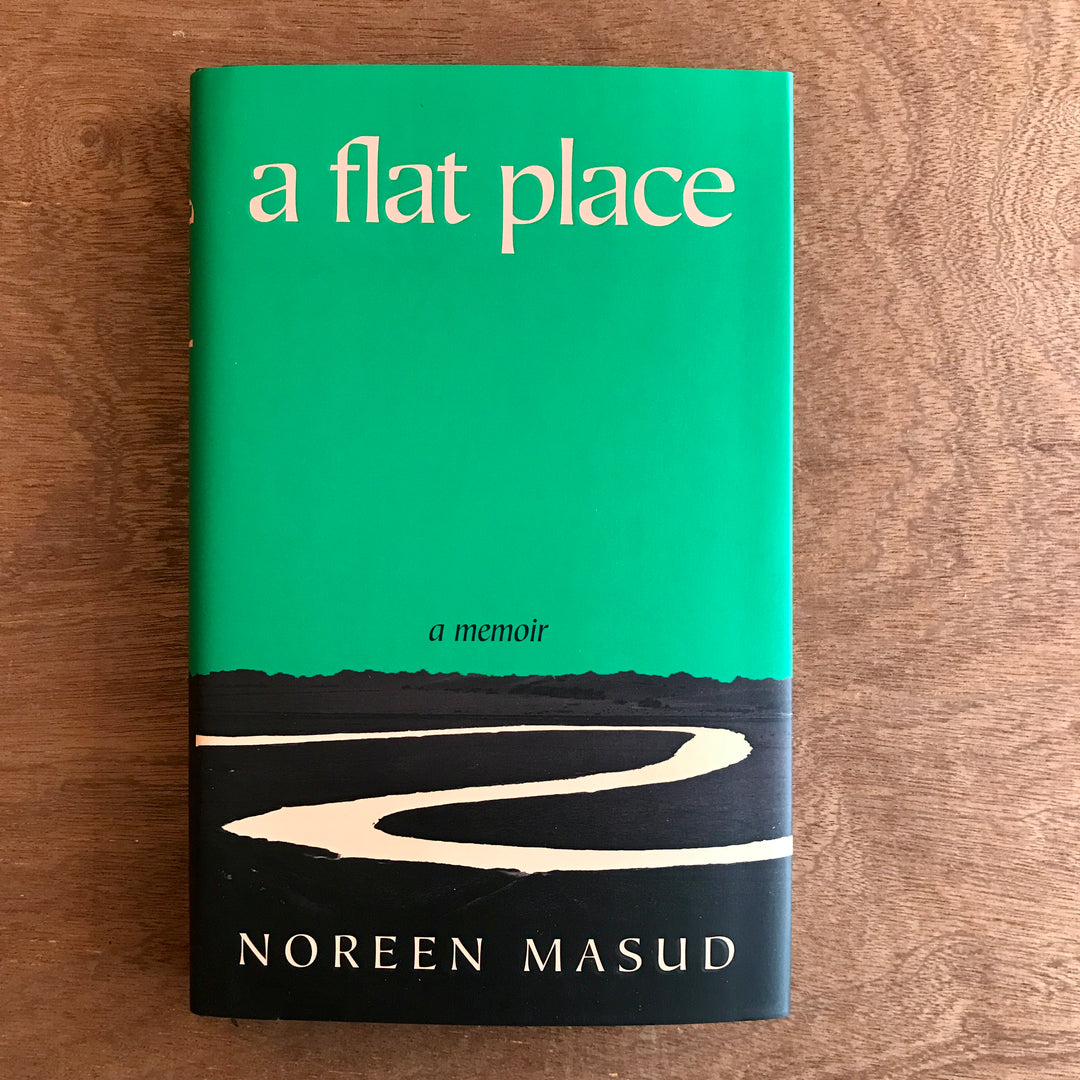 Noreen Masud: Flat Place (2024, Penguin Books, Limited)