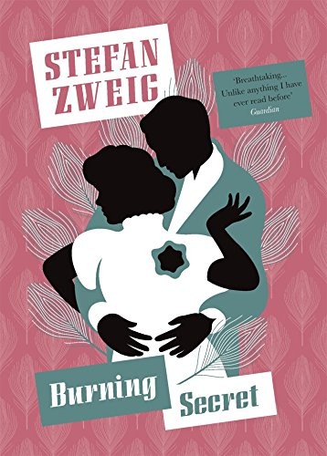 Stefan Zweig: Burning Secret (Paperback, Pushkin Press)
