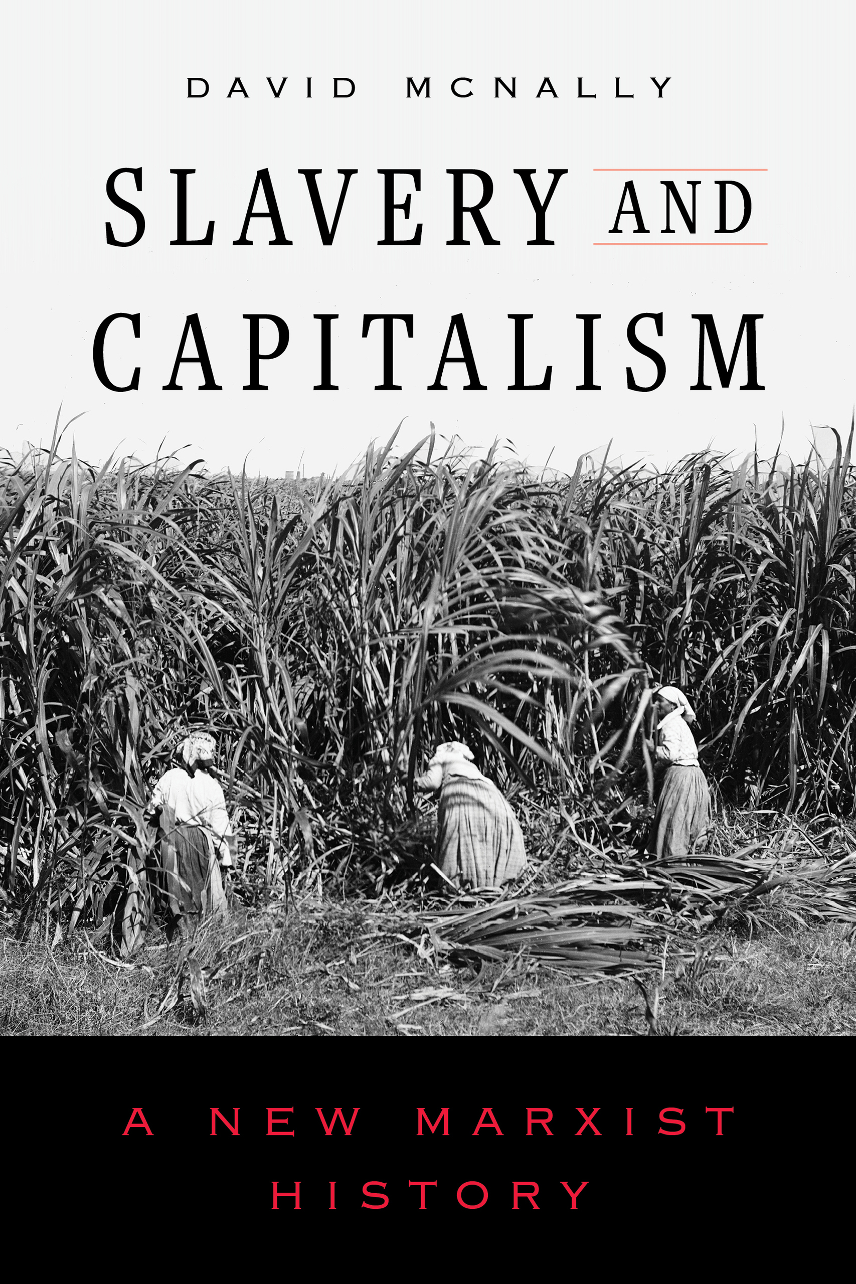 David McNally: Slavery and Capitalism: A New Marxist History (Hardcover, University of California Press)