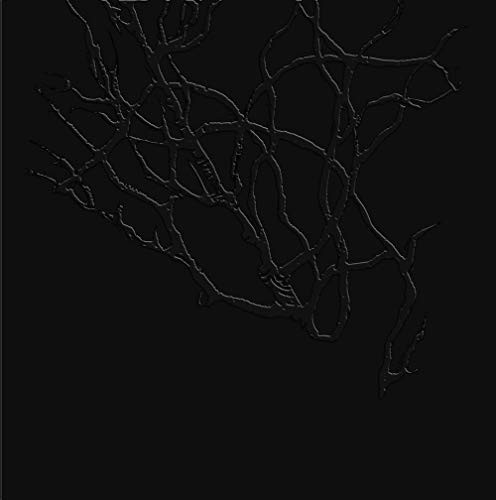 Lu Xun, Matt Turner: Weeds (Paperback, 2019, Seaweed Salad Editions)