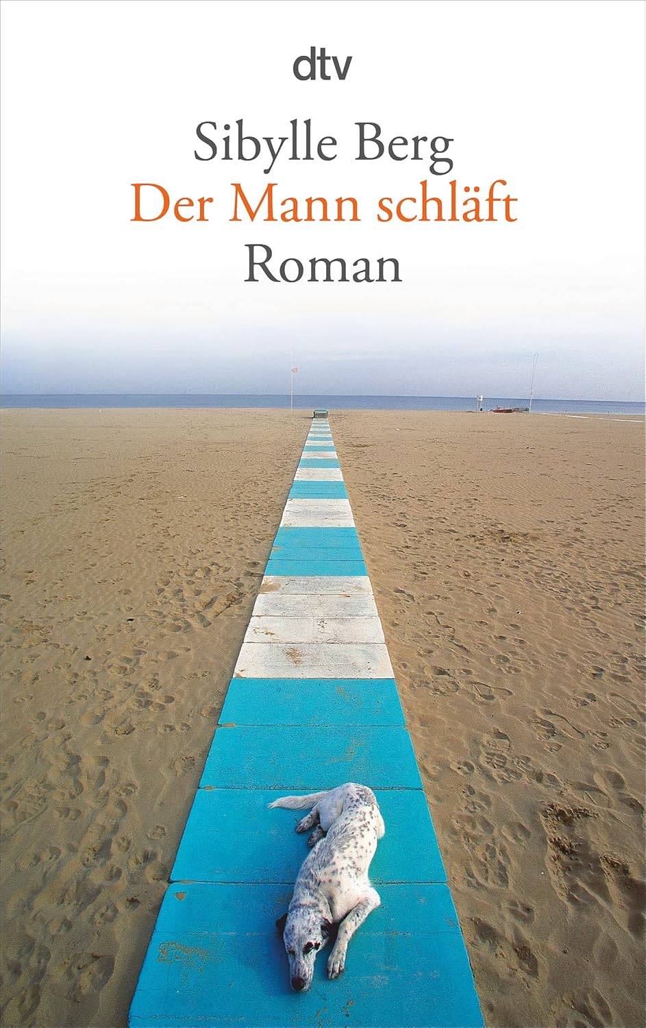 Sibylle Berg: Der Mann schläft (2009)