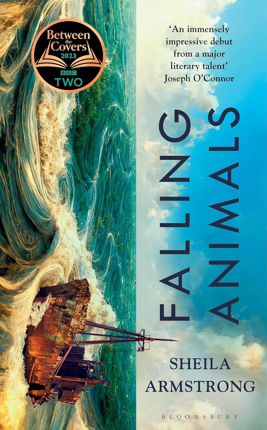 Sheila Armstrong: Falling Animals (Hardcover, 2023, Bloomsbury Publishing Plc)