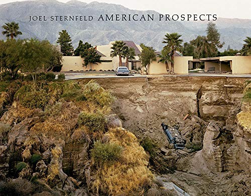 Kerry Brougher, Andy Grundberg, Joel Sternfeld, Anne Tucker: Joel Sternfeld (2019, Steidl Druckerei und Verlag, Gerhard, Steidl)