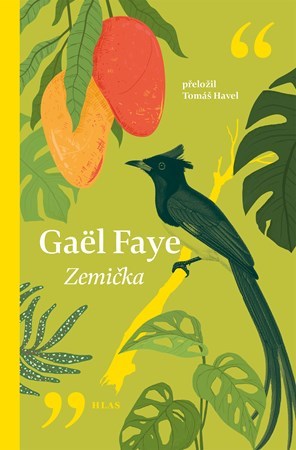 Gaël Faye: Zemička (Hardcover, Czech language, 2025, Vyšehrad)