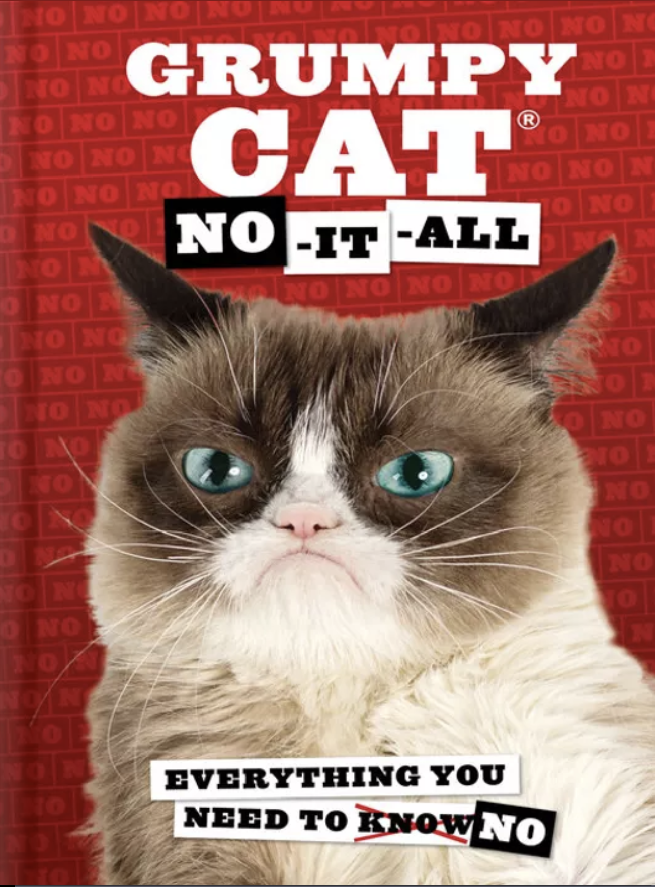 Grumpy Cat: Grumpy Cat: No-It-All (Hardcover, Chronicle Books)