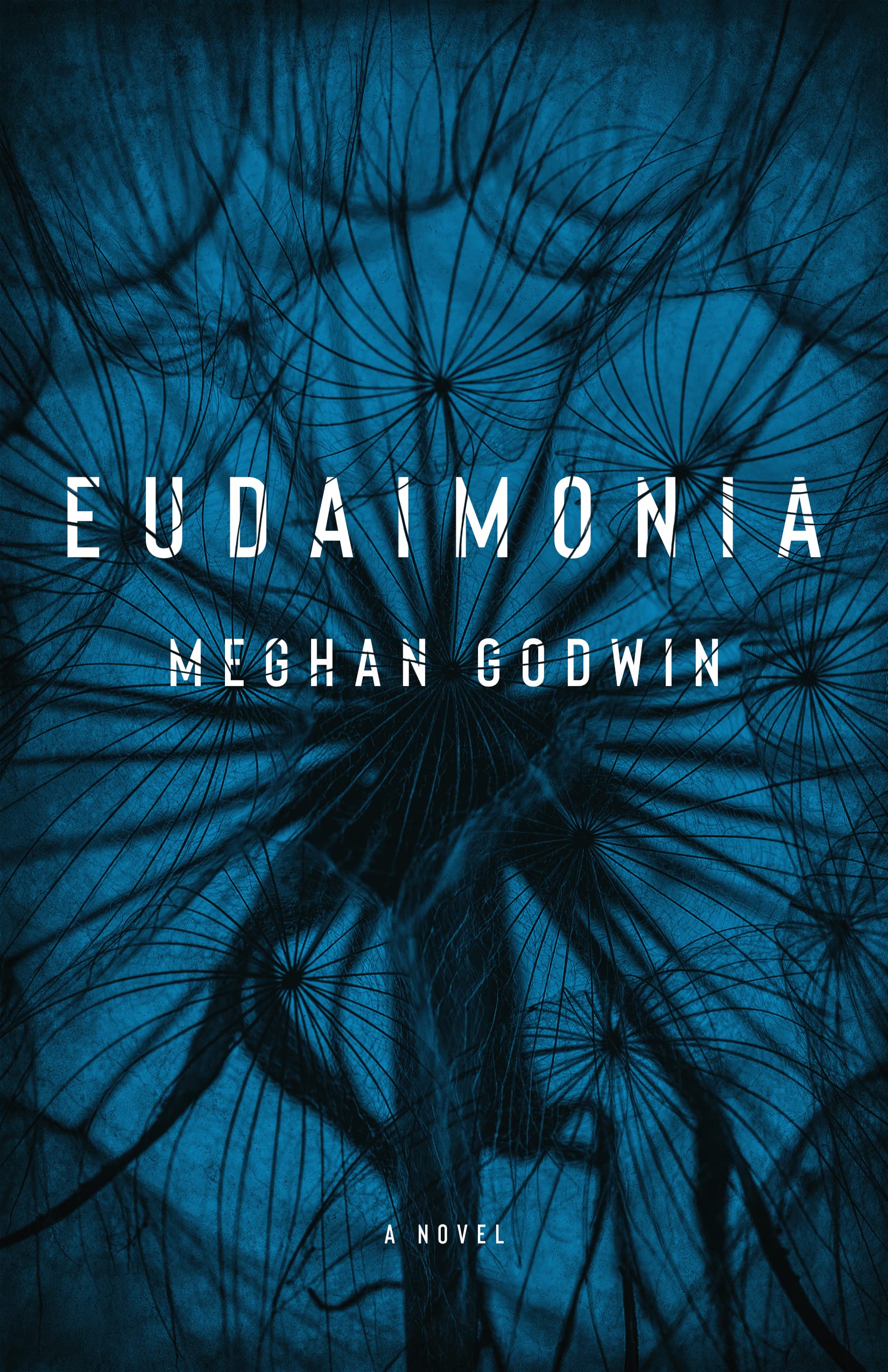 Meghan Godwin: Eudaimonia (EBook, 2022, Quill)