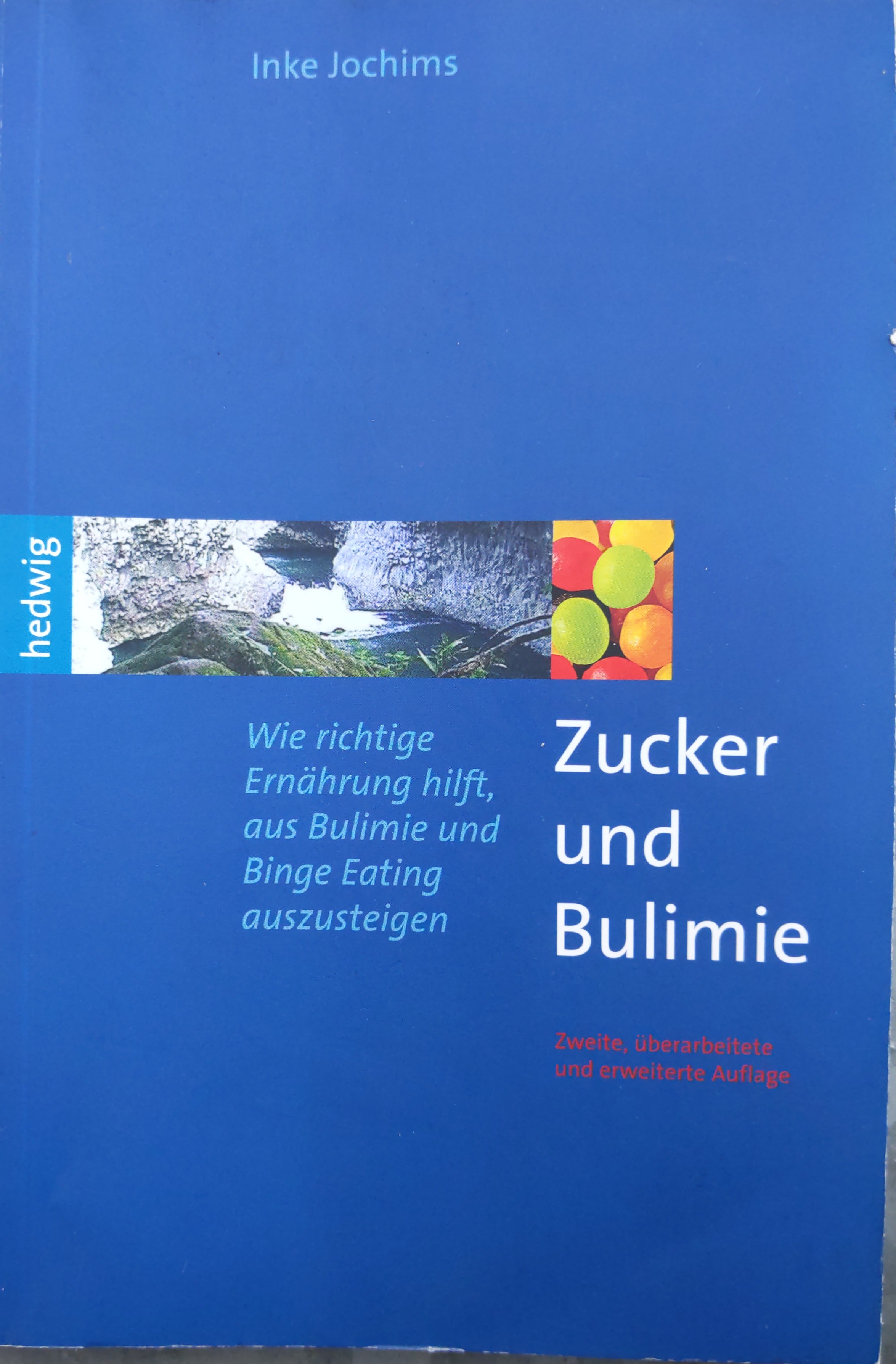 Inke Jochims: Zucker und Bulimie (Paperback, deutsch language, 2008, Hedwig-Verlag)