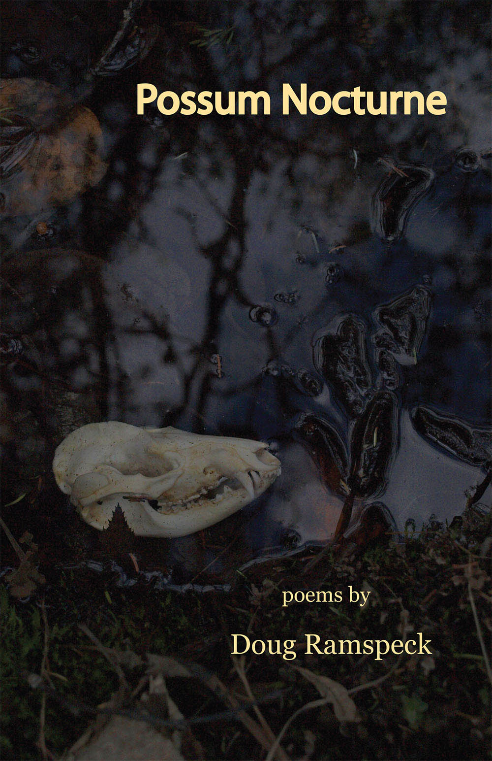 Doug Ramspeck: Possum Nocturne (2010, NorthShore Press, Distributed by University of Akron Press)
