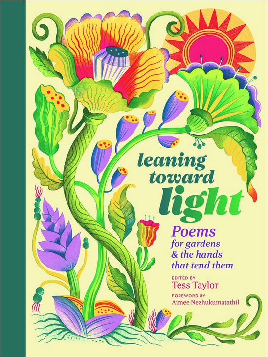 Tess Taylor: Leaning Toward Light (2023, Storey Publishing, LLC)