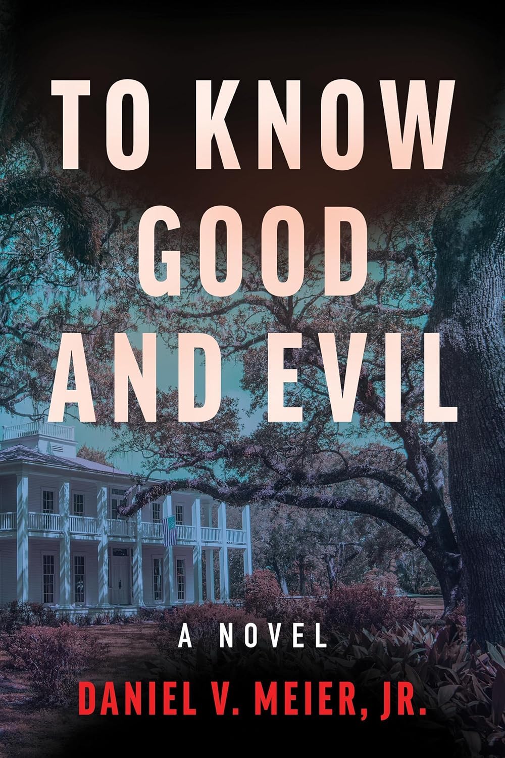 Daniel V. Meier Jr.: To Know Good and Evil (BQB Publishing)