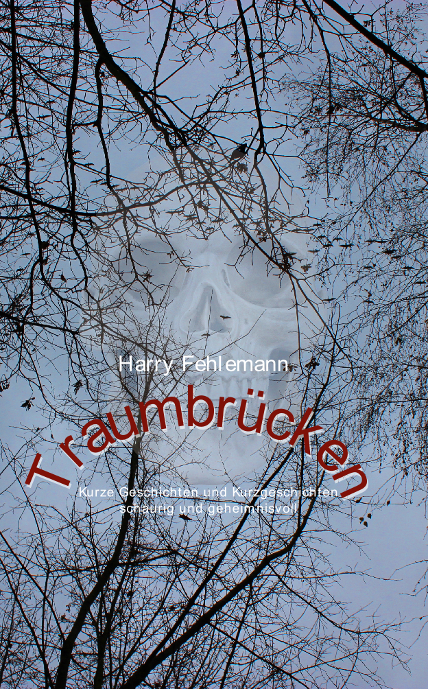 Harry Fehlemann: Traumbrücken (Paperback, German language, 2014, Books on Demand GmbH)