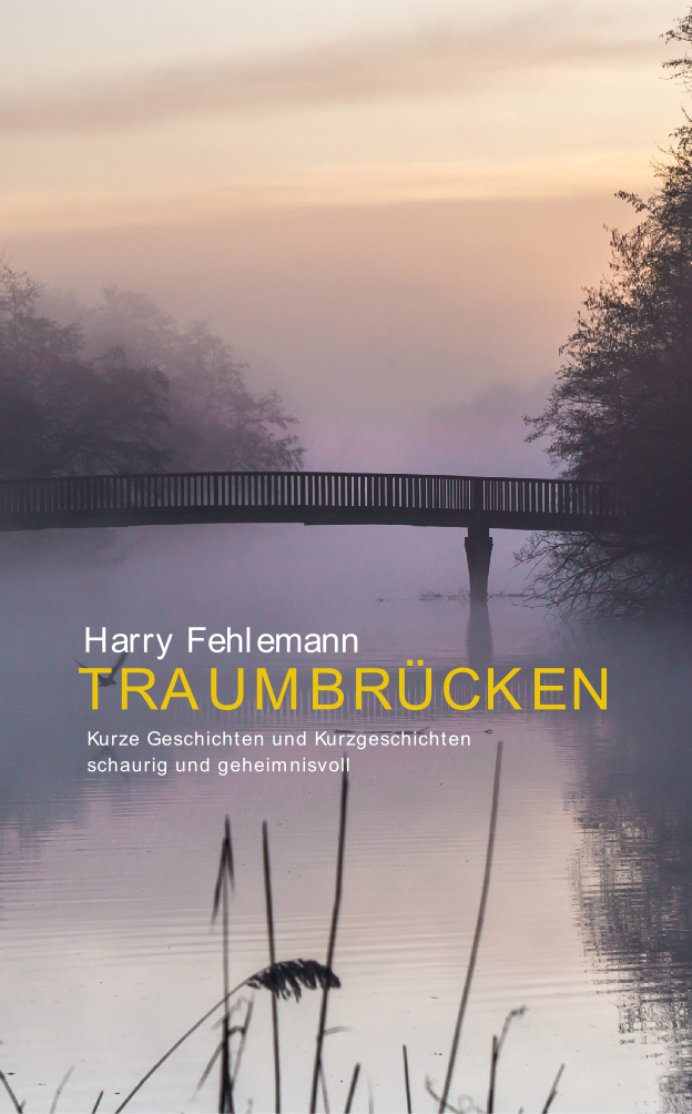 Harry Fehlemann: Traumbrücken (Paperback, deutsch language, 2016, TUBUK)