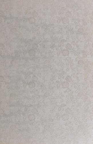 Muriel Barbery: Ci wei de you ya (Chinese language, 2009, Nanjing da xue chu ban she)