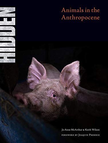 Jo-Anne McArthur, Keith Wilson: Hidden (Hardcover, 2020, Lantern Publishing & Media)