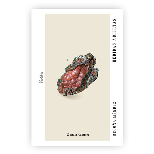 Begoña Méndez Seguí: Heridas abiertas (Paperback, Español language, 2020, Wunderkammer)
