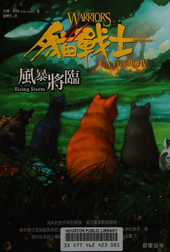 Da Heng, Zimei Gao: Mao zhan shi shou bu qu (Chinese language, 2008, Chen xing fa xing, Zhi ji zong jing xiao, Chen Xing, Chen Xing/Tsai Fong Books)