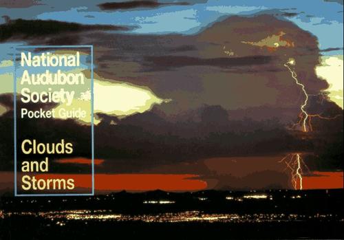 David McWilliams Ludlum: Clou ds and storms (1995, Knopf)