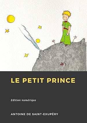 Antoine De Saint-Exupéry: Le Petit Prince (French Edition) (EBook, French language, 2024, Librofilio)