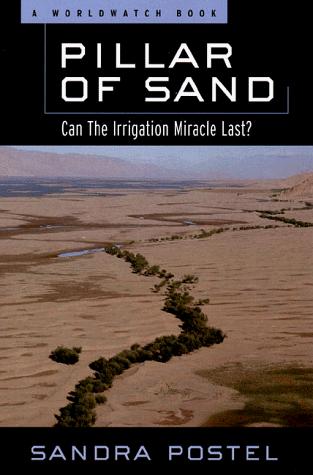 Sandra Postel: Pillar of Sand (W. W. Norton & Company, W.W. Norton & Co.)