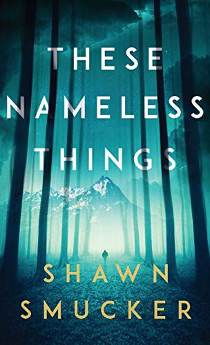 Shawn Smucker: These Nameless Things (Hardcover, 2020, Revell)