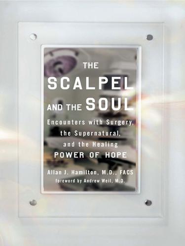Allan J. Hamilton: The Scalpel and the Soul (EBook, 2008, Penguin Group USA, Inc.)