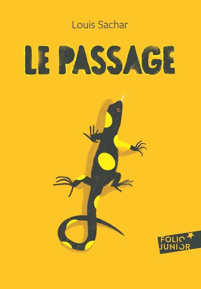 Louis Sachar: Le passage (French language, 2016, Éditions Gallimard)