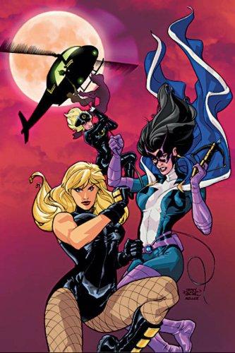 Gail Simone: Birds of Prey Vol. 5 (Paperback, 2007, DC Comics)