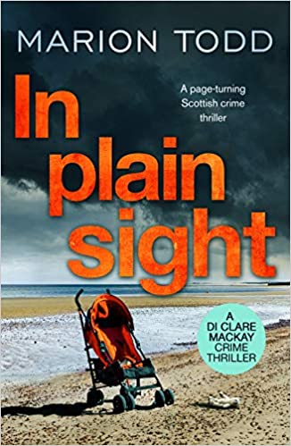 Marion Todd: In Plain Sight (2020, Canelo)
