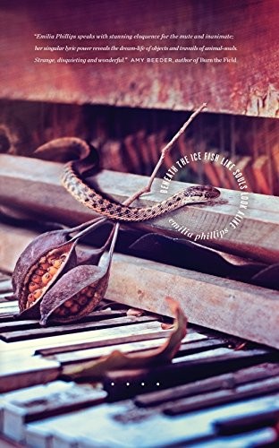 Emilia Phillips: Beneath the Ice Fish Like Souls Look Alike (Paperback, Bull City Press)