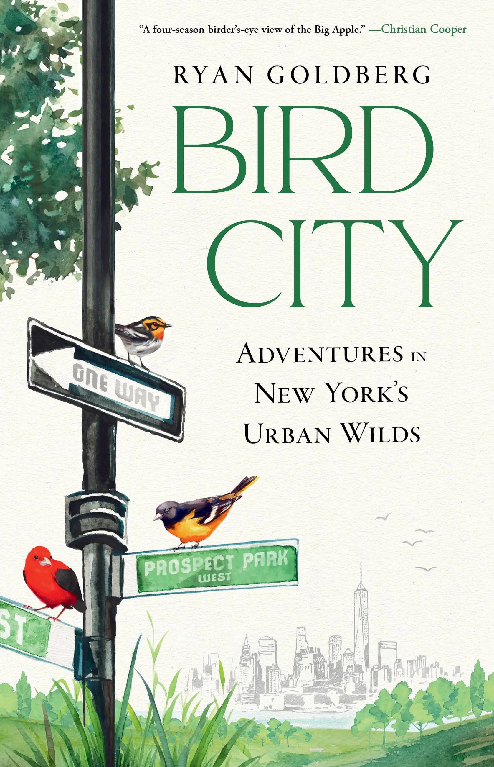 Ryan Goldberg: Bird City (Hardcover, Algonquin Books)